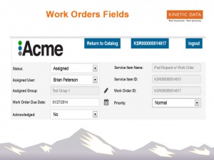 Work Order Fields Detail